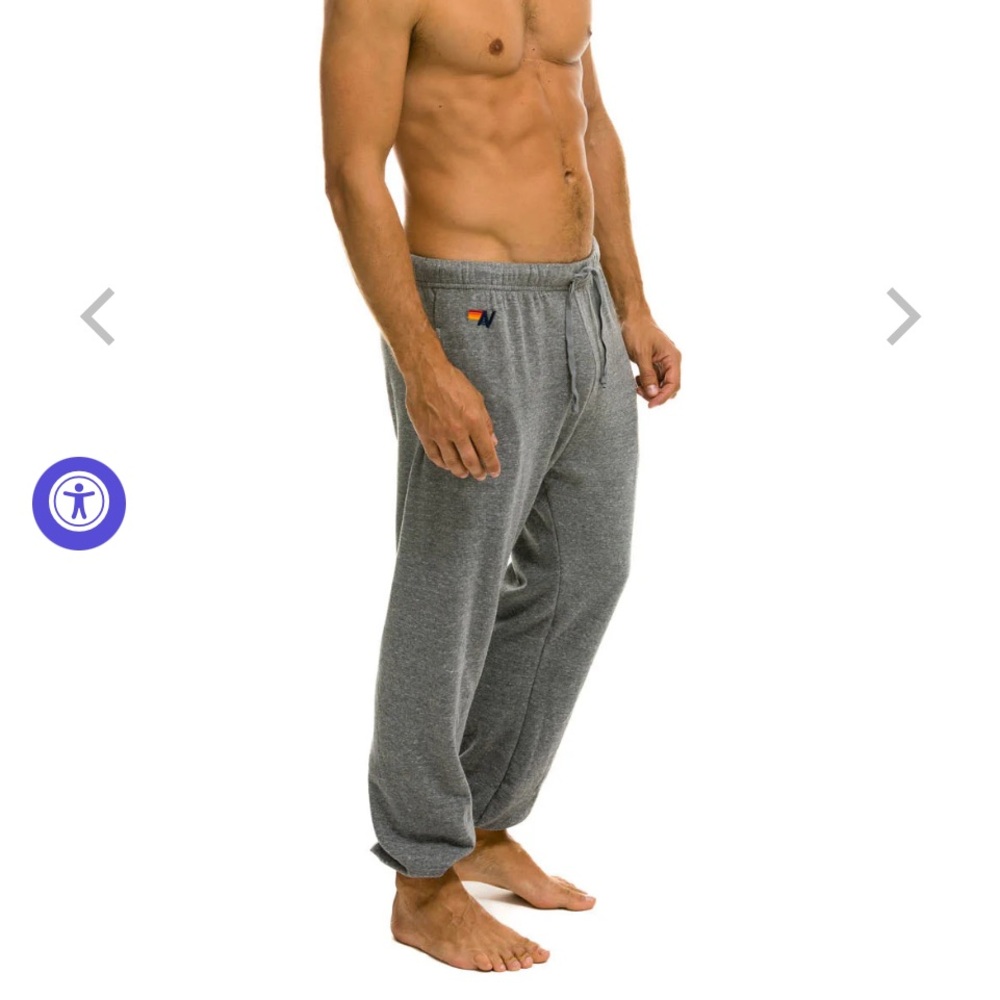 Aviator Nation “Bolt” men’s sweatpants with pockets. Heather gray in size L.